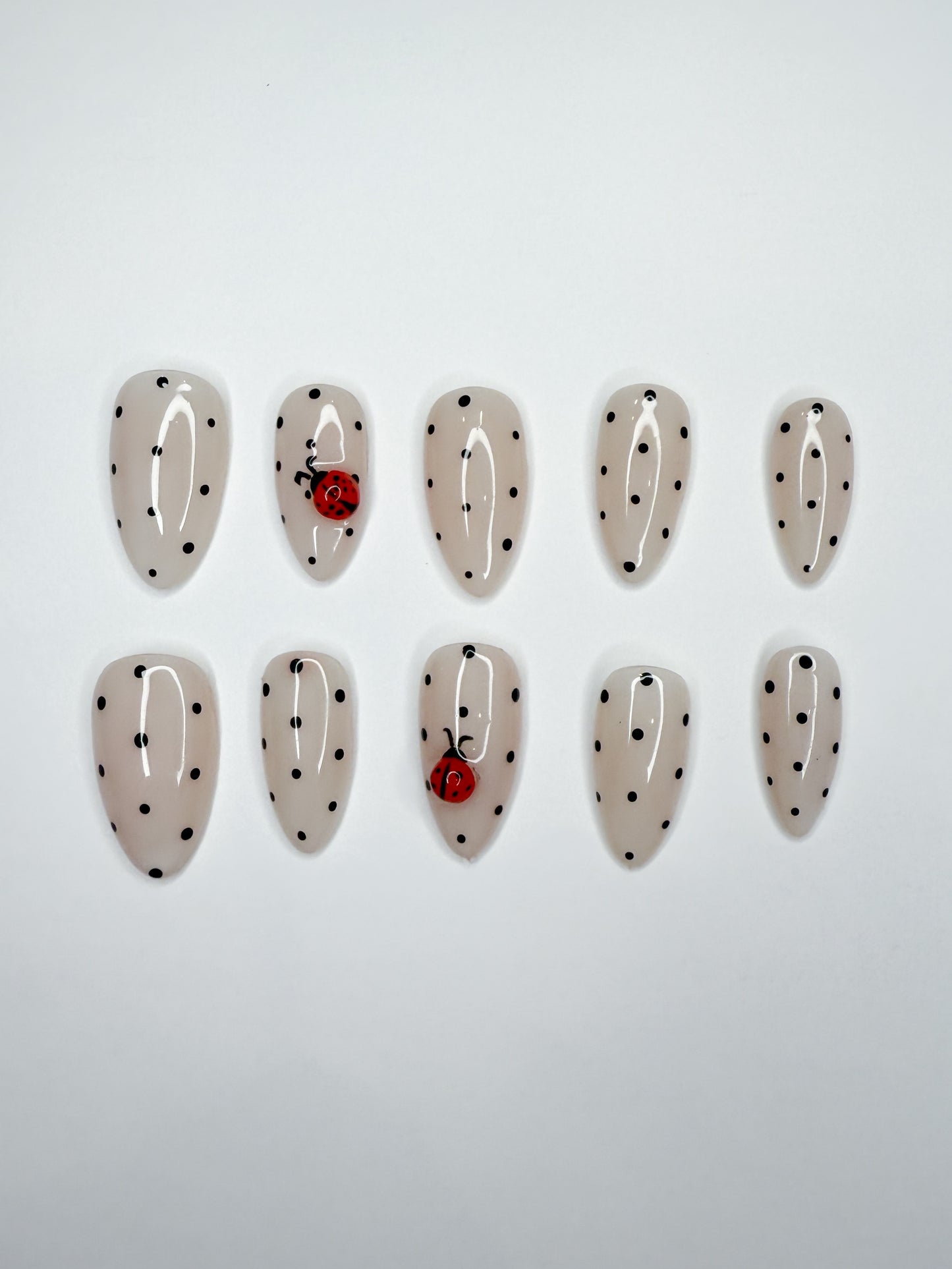 Polka Dot Lady Bugs