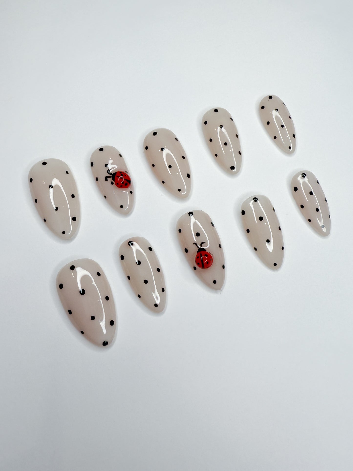 Polka Dot Lady Bugs