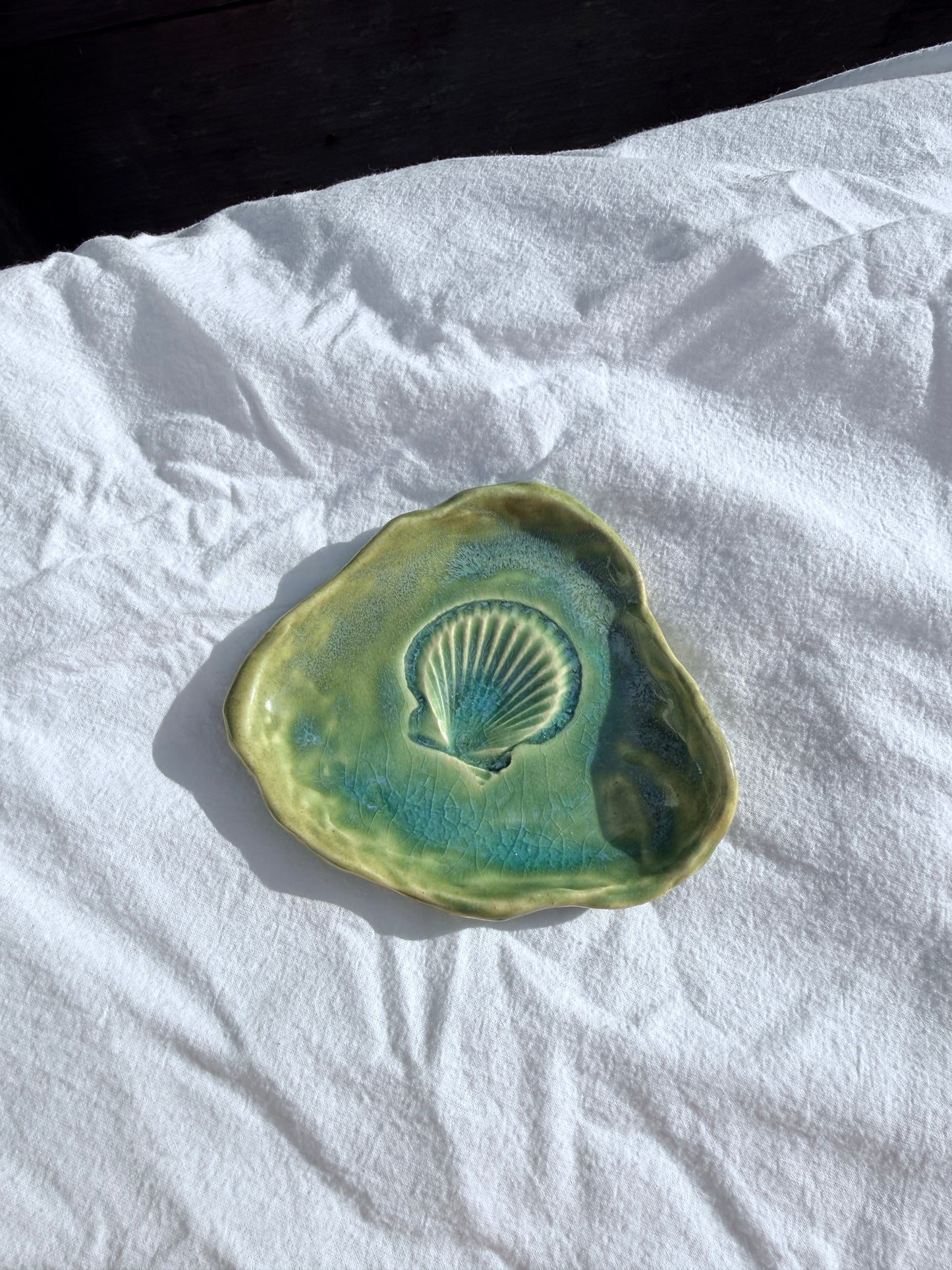 Shell Catch All 3