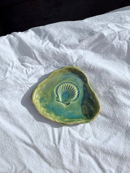 Shell Catch All 3