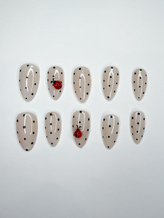 Polka Dot Lady Bugs
