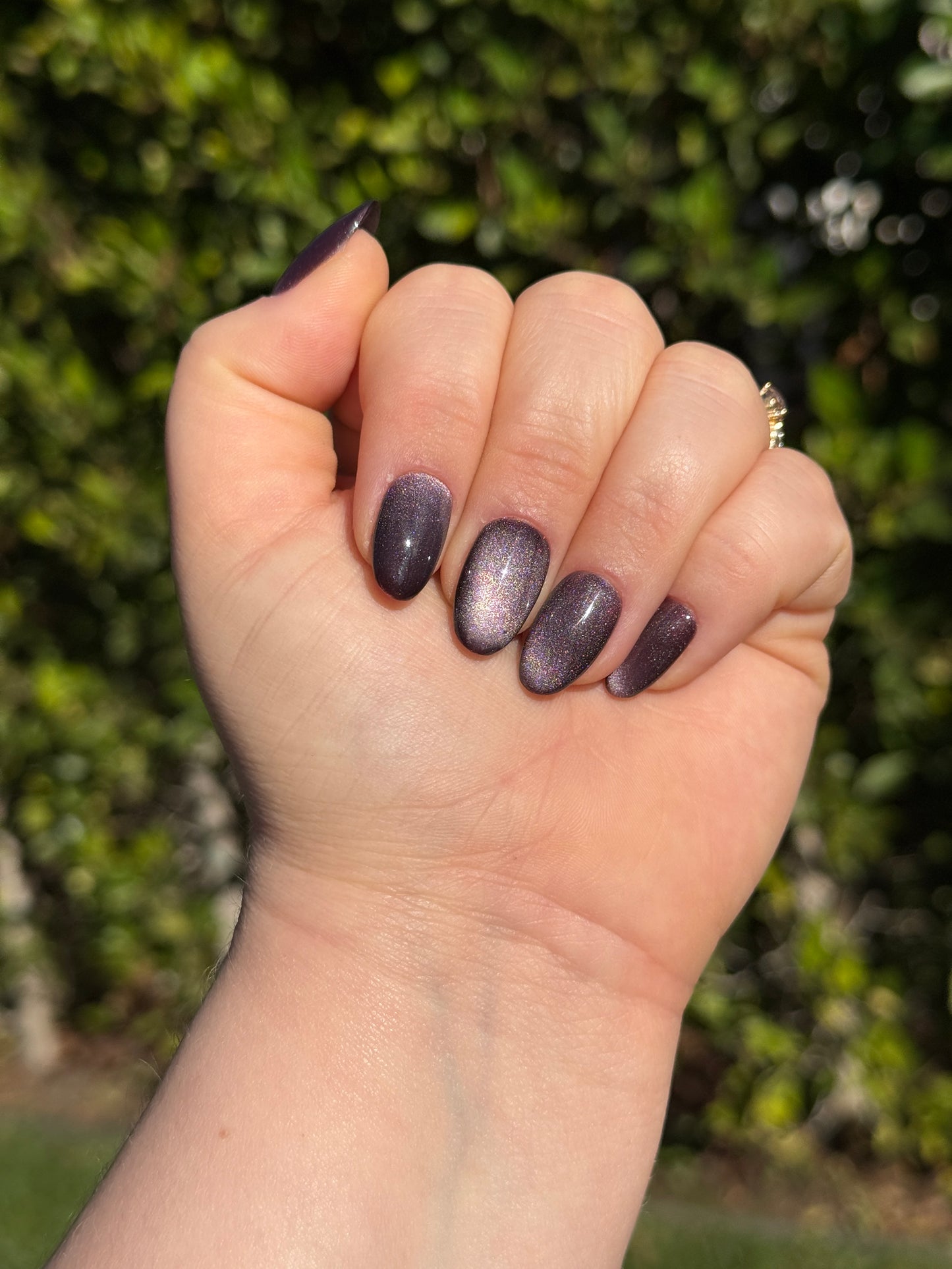 Smoked Purple Cat Eye